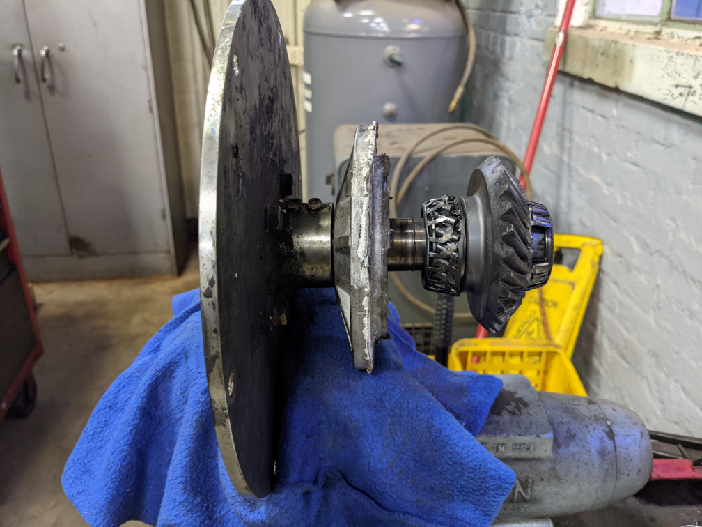 20210813 On the road again! TurtleHerding