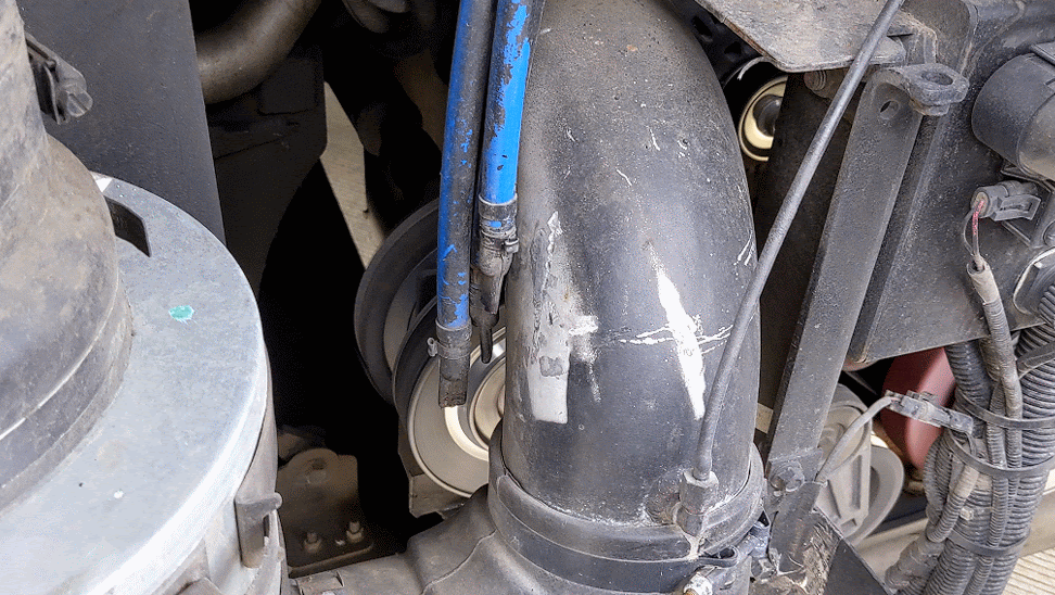 Fan Clutch Spinning TurtleHerding